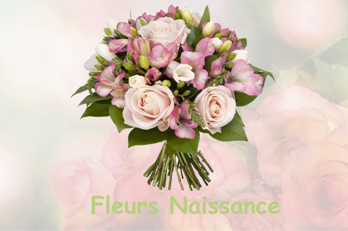 fleurs naissance SAINT-JEOIRE-PRIEURE